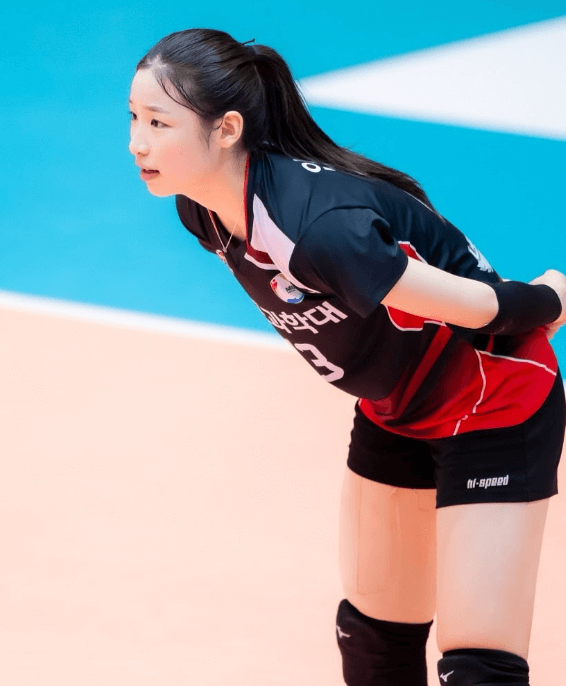 이쿠시-배구-코트-모습